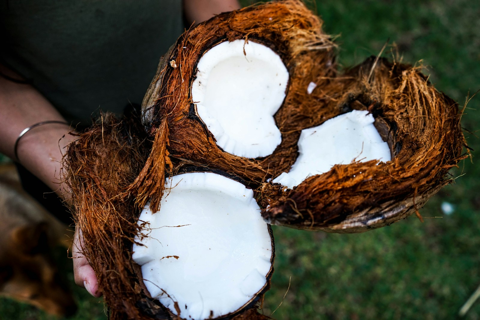 Island Essence: Coconut Recipes